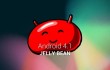 Android 4.1 - Header-01