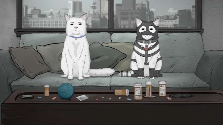 Animals