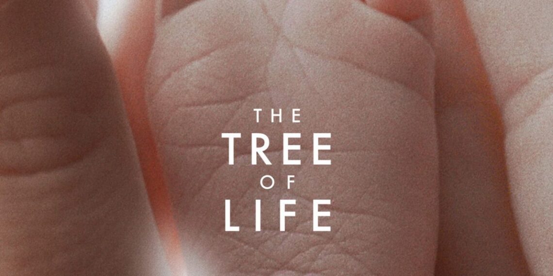 The Tree of Life Review Finding Meaning In Creation Fortress of