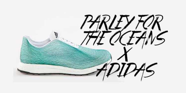 adidas-parley-interview-header