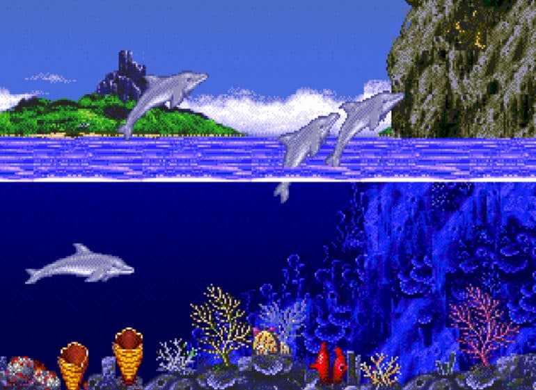 Ecco The Dolphin