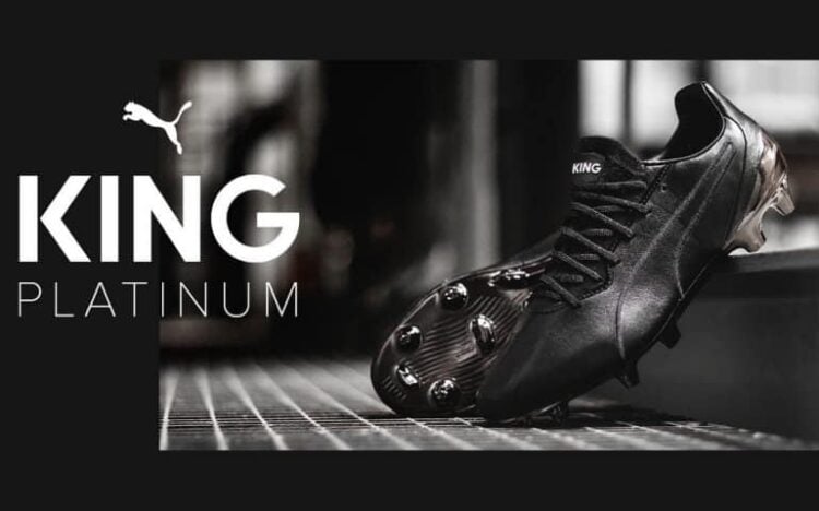 the king puma
