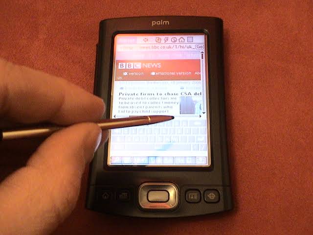 Palm pda