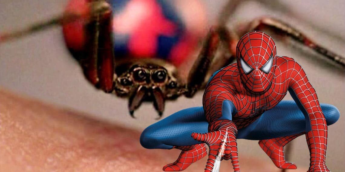 3 Boys Bitten by Black Widow in Hopes to Become Spider-Man