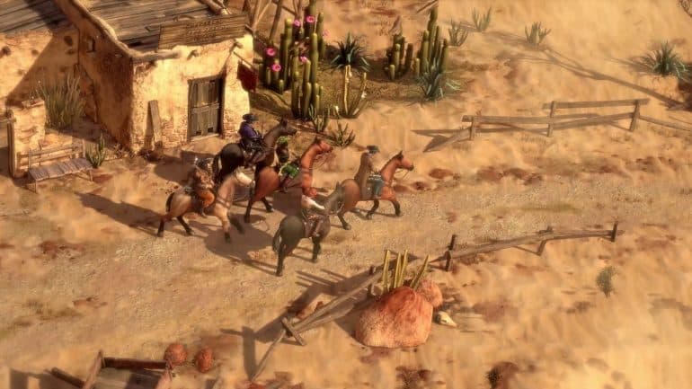 Horses