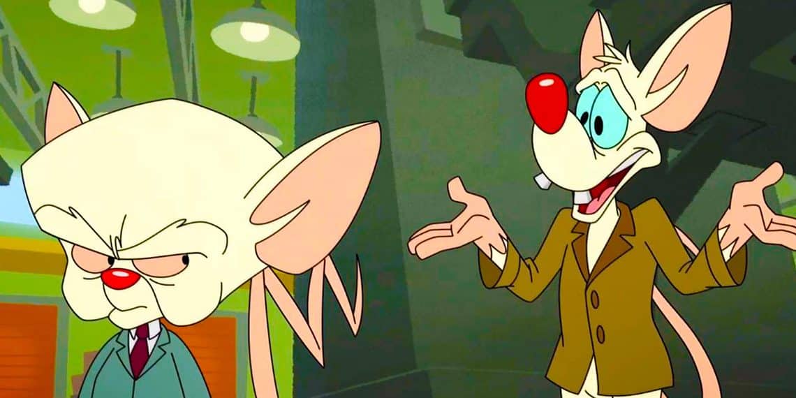 Pinky And The Brain Animaniacs