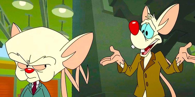 Pinky And The Brain Animaniacs