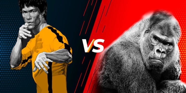 Bruce Lee vs A Silverback Gorilla: Who Would Win