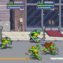 Turtles Game
