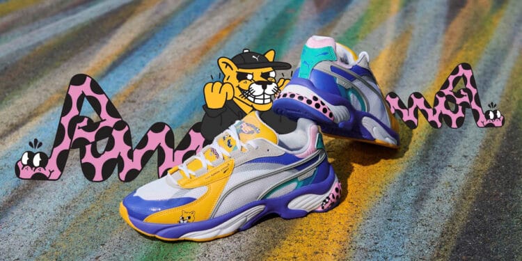 rocco the raccoon puma