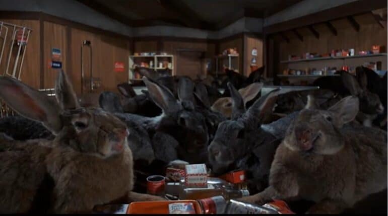 Night of the Lepus Bunny Rabbit Scary Scariest