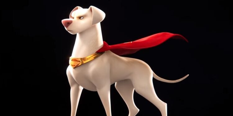 DC League of Super-Pets Superman Dog