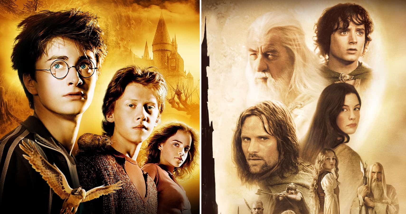 Harry Potter vs Frodo Baggins TLOR The Lord of The Rings