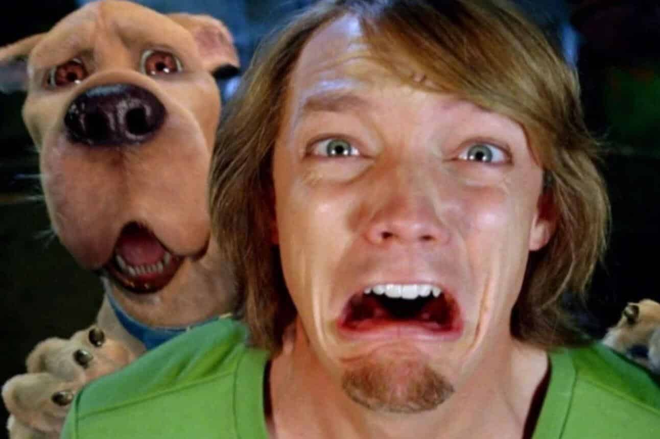Matthew Lillard Should Get His Own Shaggy TV Show