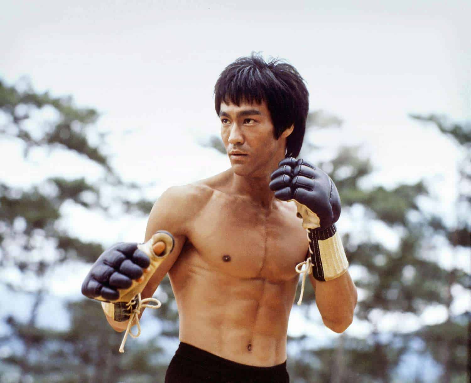 bruce lee Enter the Dragon