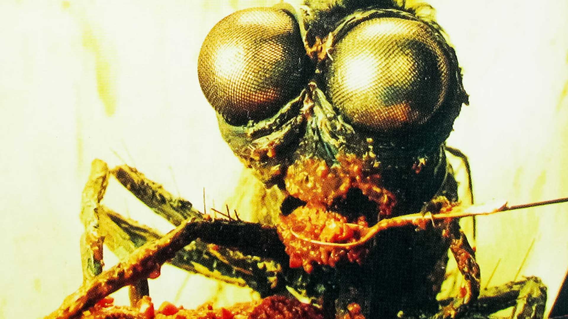 Meet The Feebles fly