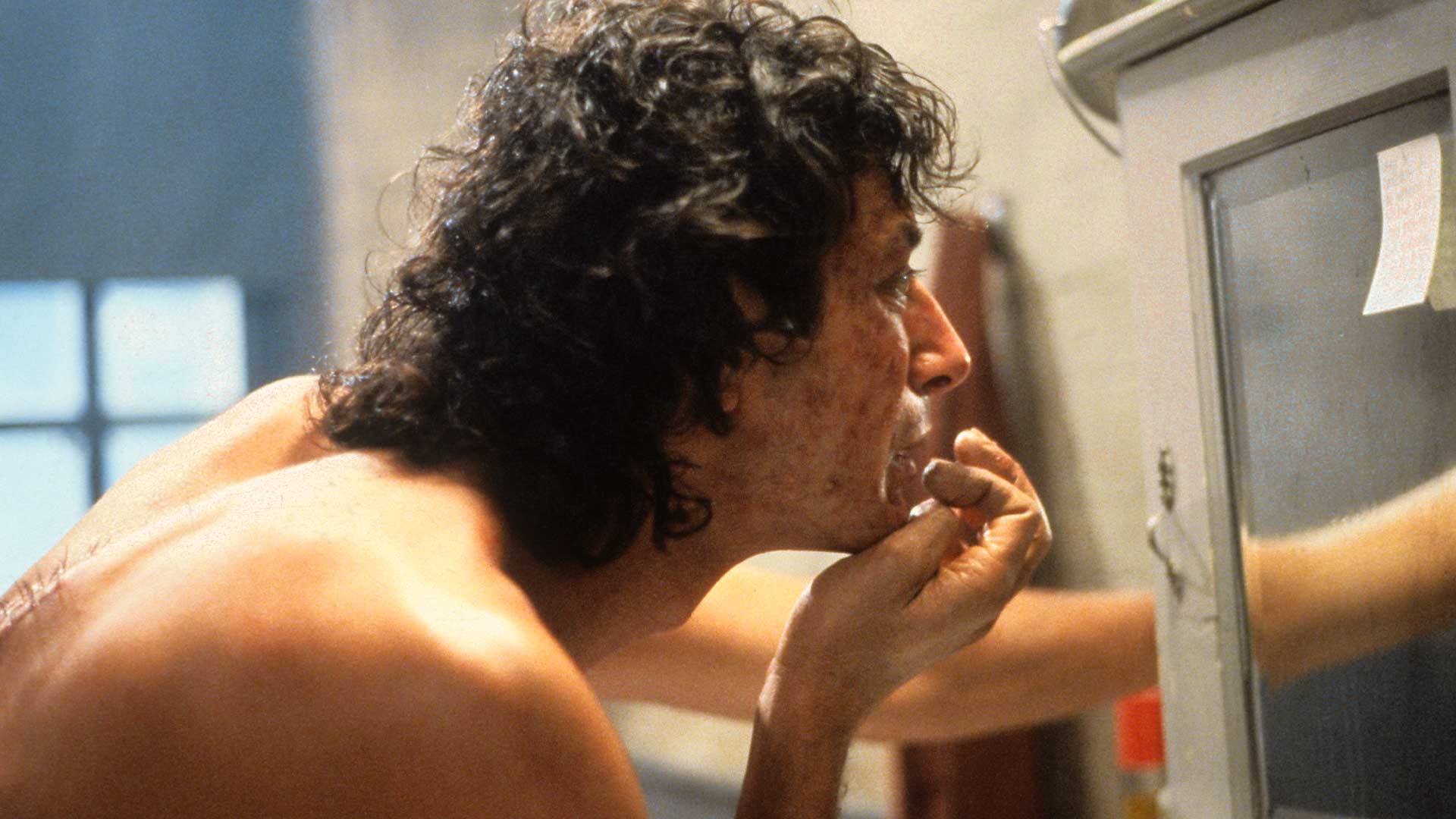 The Fly 1986