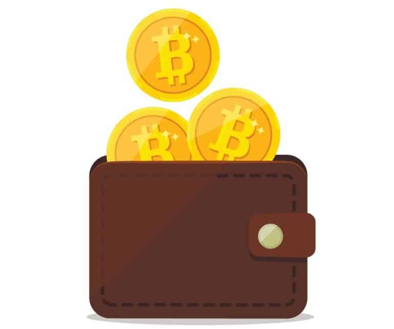 What Are Private Keys and Public Keys in Bitcoin Wallets