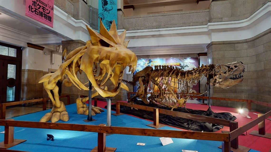 Pokémon-Fossil-Museum-virtual-tour
