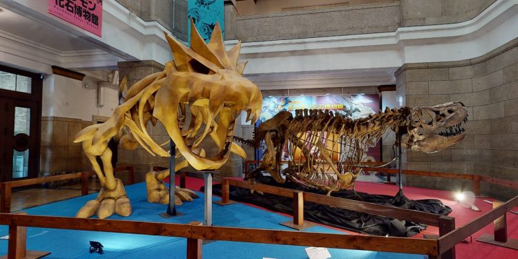 Pokémon-Fossil-Museum-virtual-tour