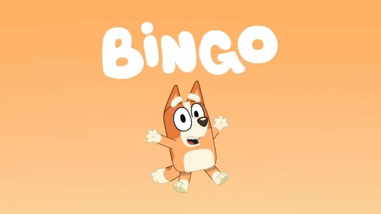 Bingo Bluey