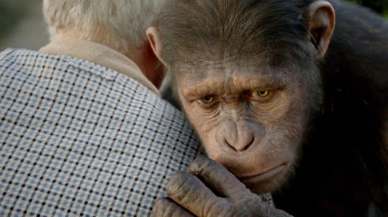 New Planet of the Apes Movie