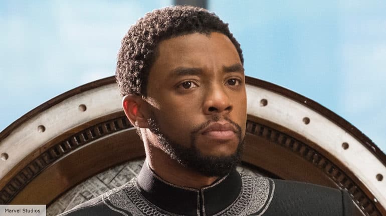How T'challa Died Black Panther Wakanda Forever