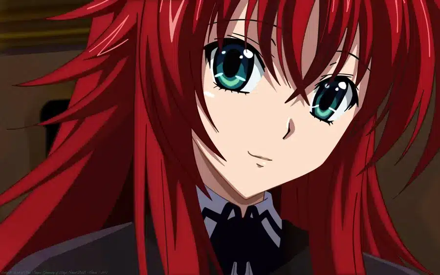 9. Rias Gremory from High School DxD - wide 9