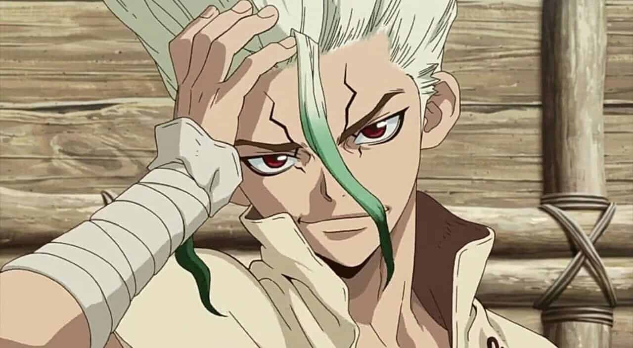 Dr. Stone