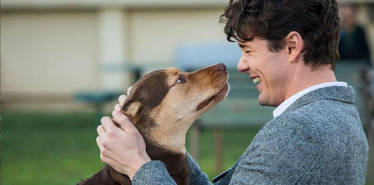 A Dog’s Way Home (2019)