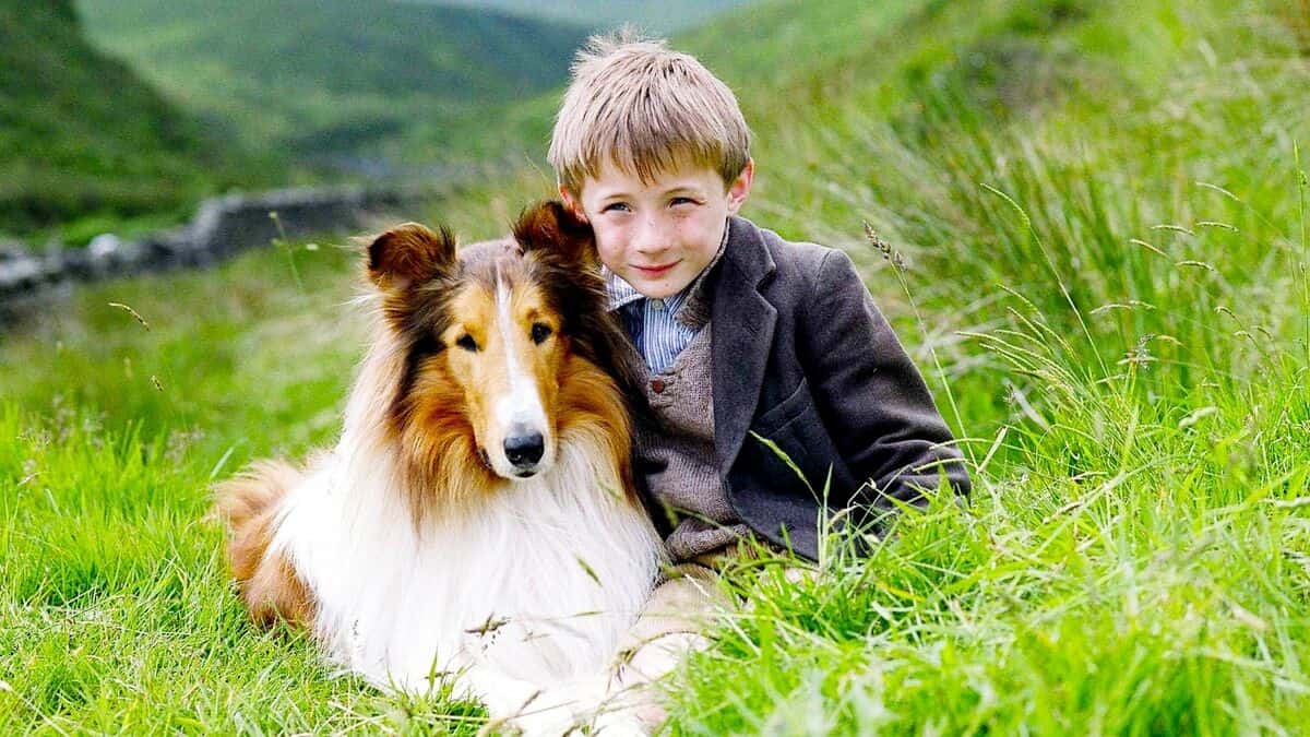 Lassie (2005)