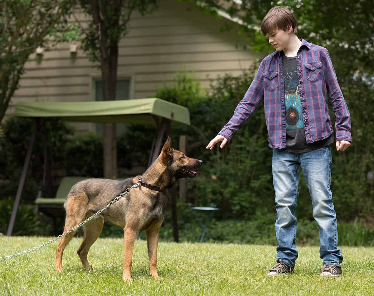 Max (2015)