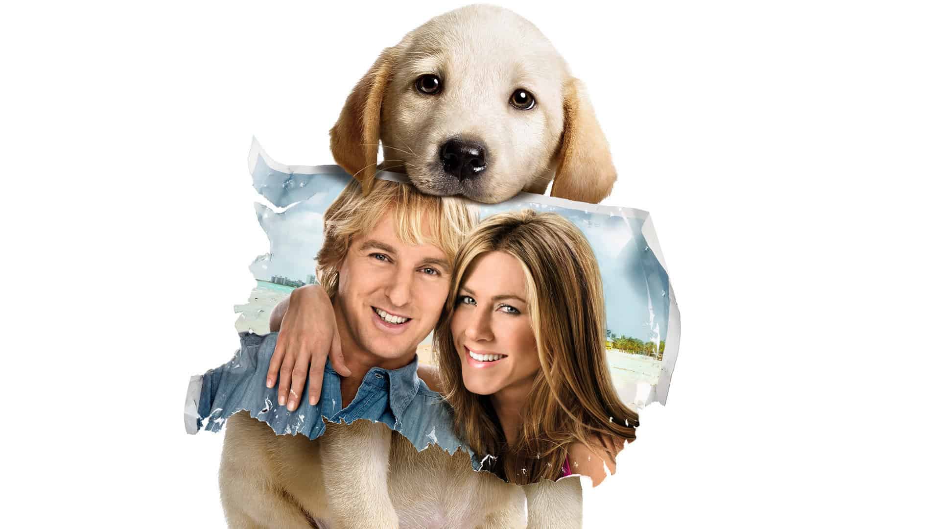The 12 Best Dog Movies Everyone Should Watch The 12 Best Dog Movies Everyone Should Watch