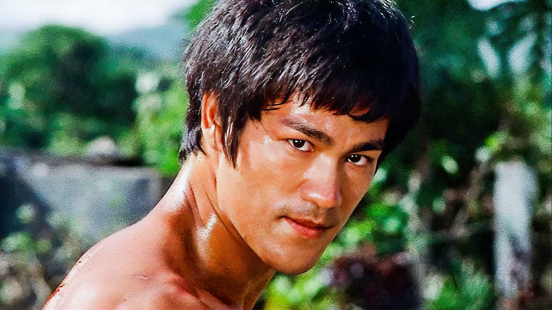 Bruce Lee The Big Boss Final Showdown
