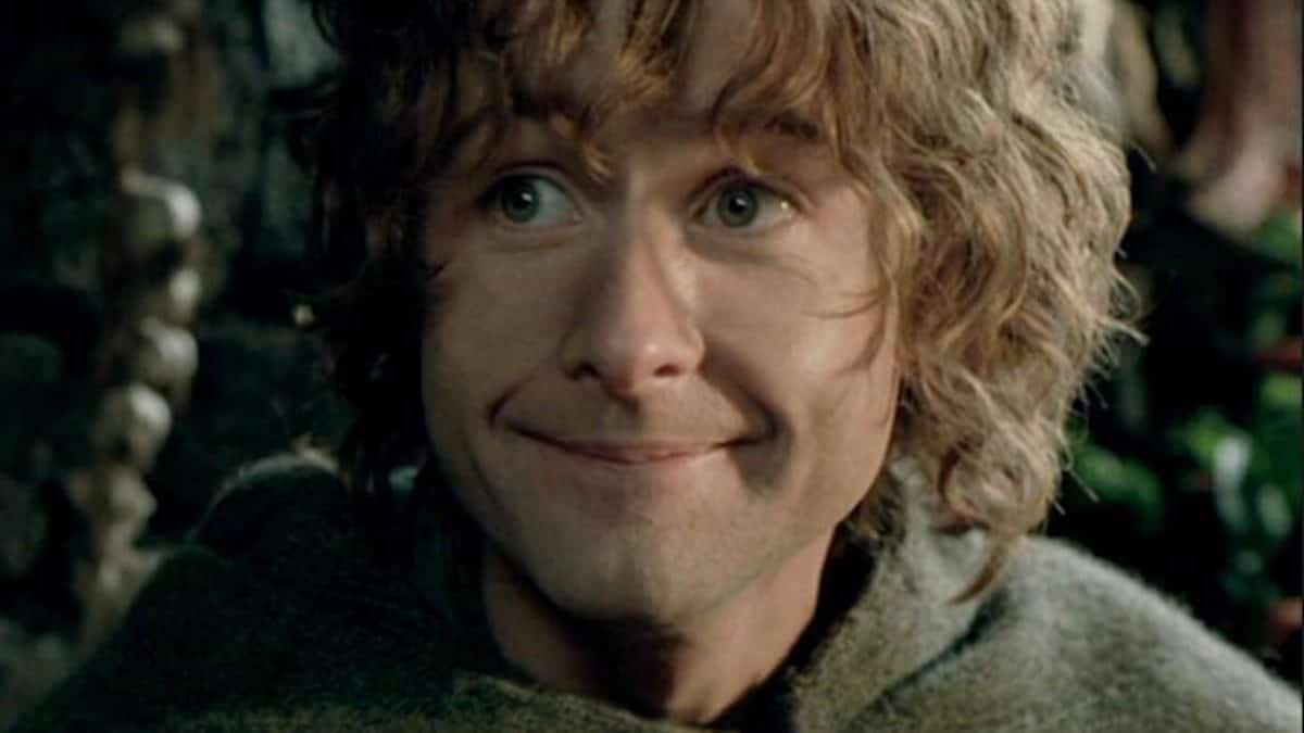Peregrin Took, Thain of the Shire