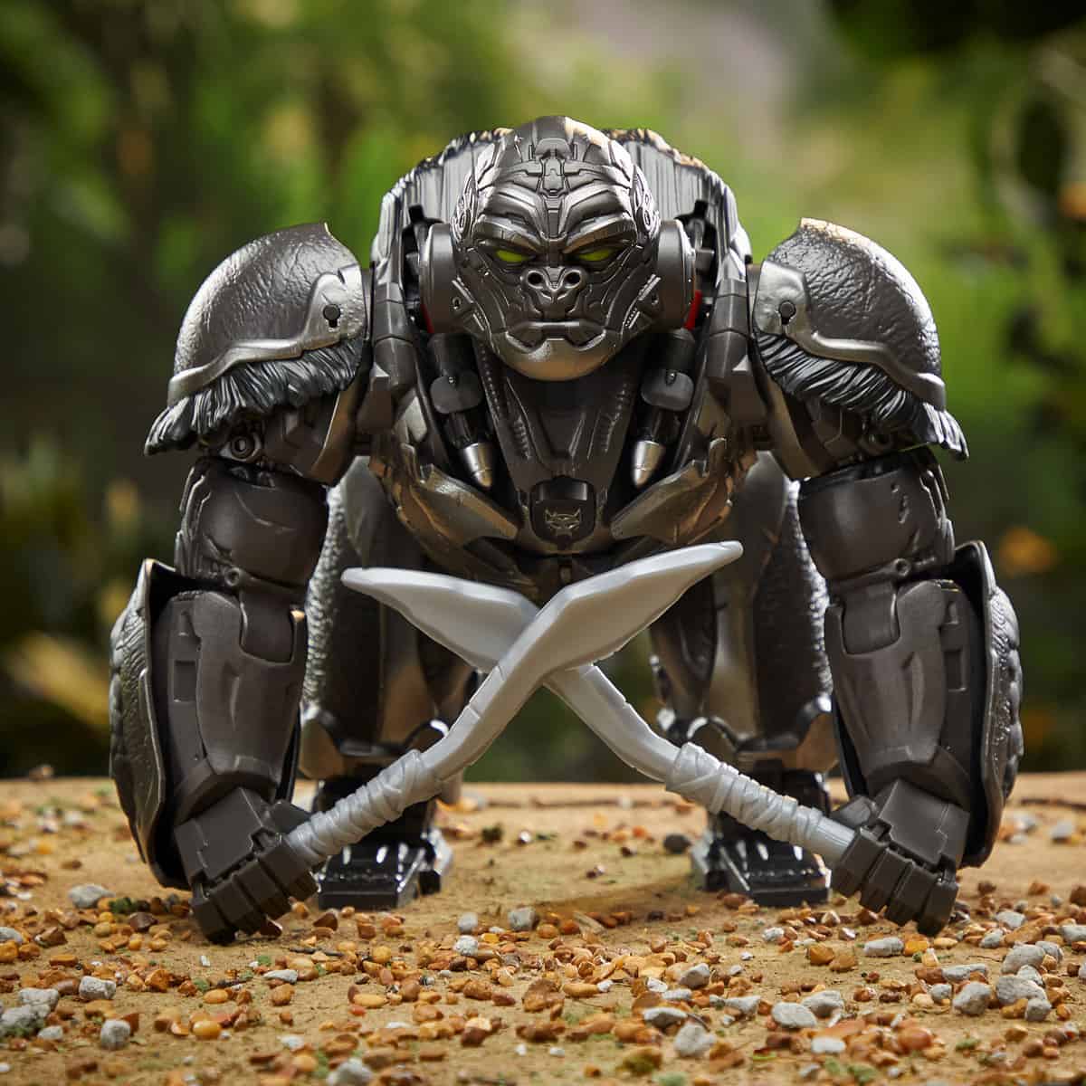 Win tickets Transformers