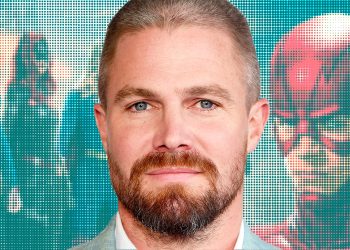 Stephen Amell says the DCU needs the Arrowverse