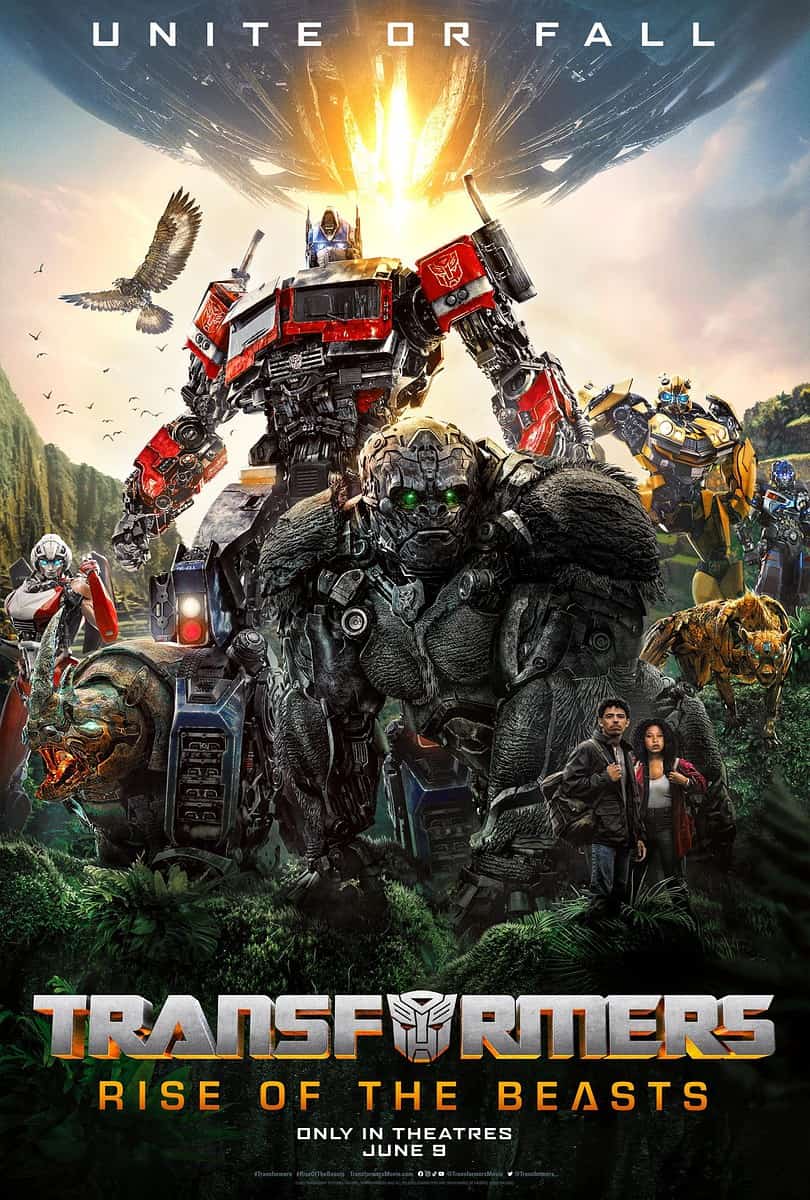 Win tickets Transformers