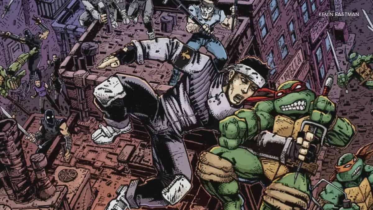 Teenage Mutant Ninja Turtles Franchise