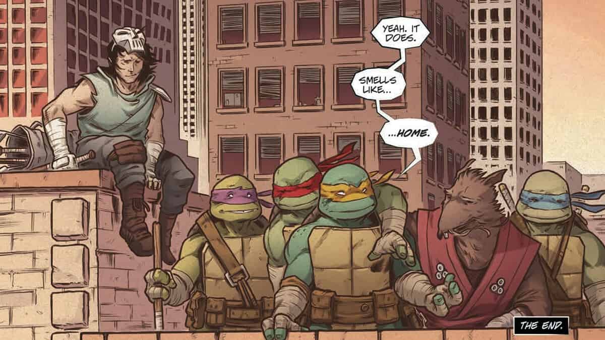 Teenage Mutant Ninja Turtles Franchise
