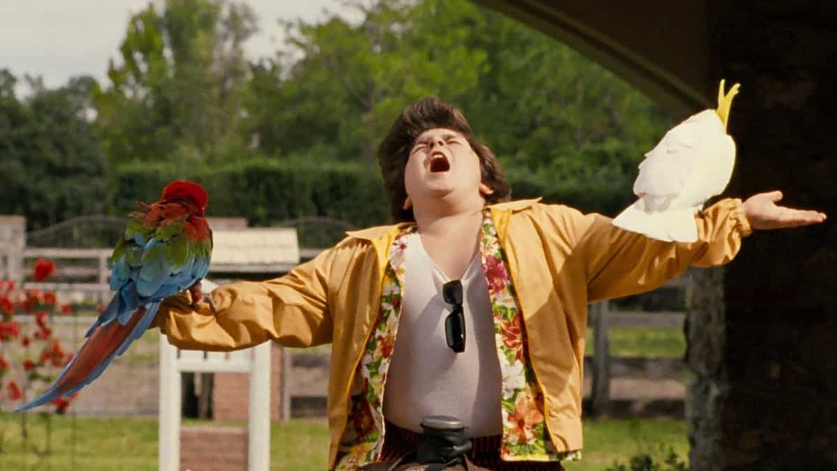 Ace Ventura Sequel