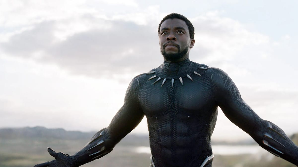 The 24 Best Marvel Characters and Heroes of All-Time Black Panther