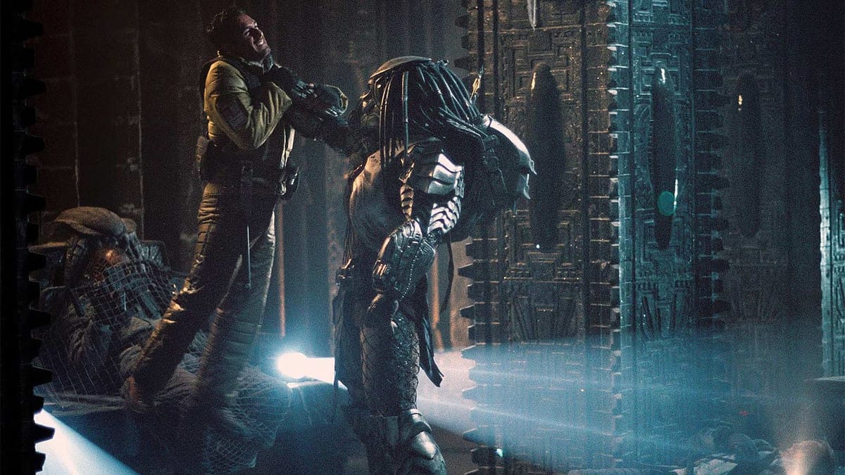 AvP