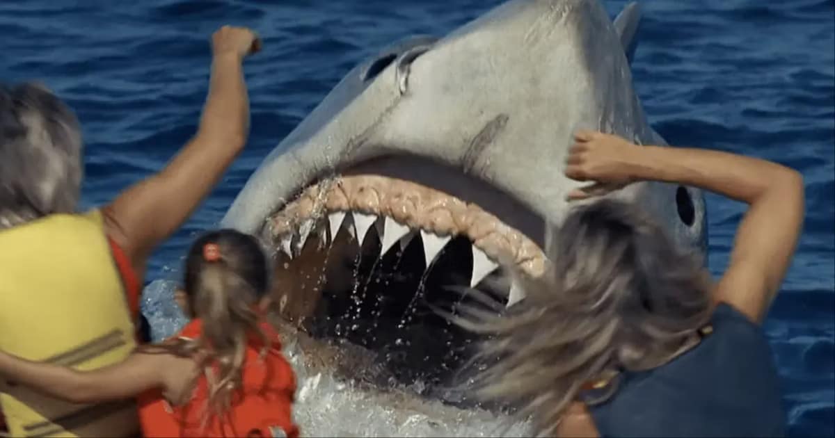 Ranking The Best Shark Movies From Worst to Best