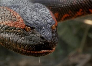 The Real Terror In Anaconda (1997) Was The Animatronic Snake