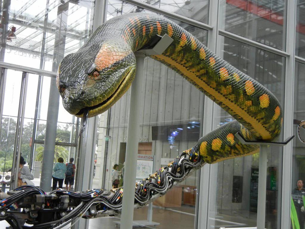 The Real Terror In Anaconda (1997) Was The Animatronic Snake