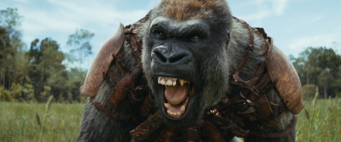 Kingdom of the Planet of the Apes is visually stunning and packed with powerhouse performances