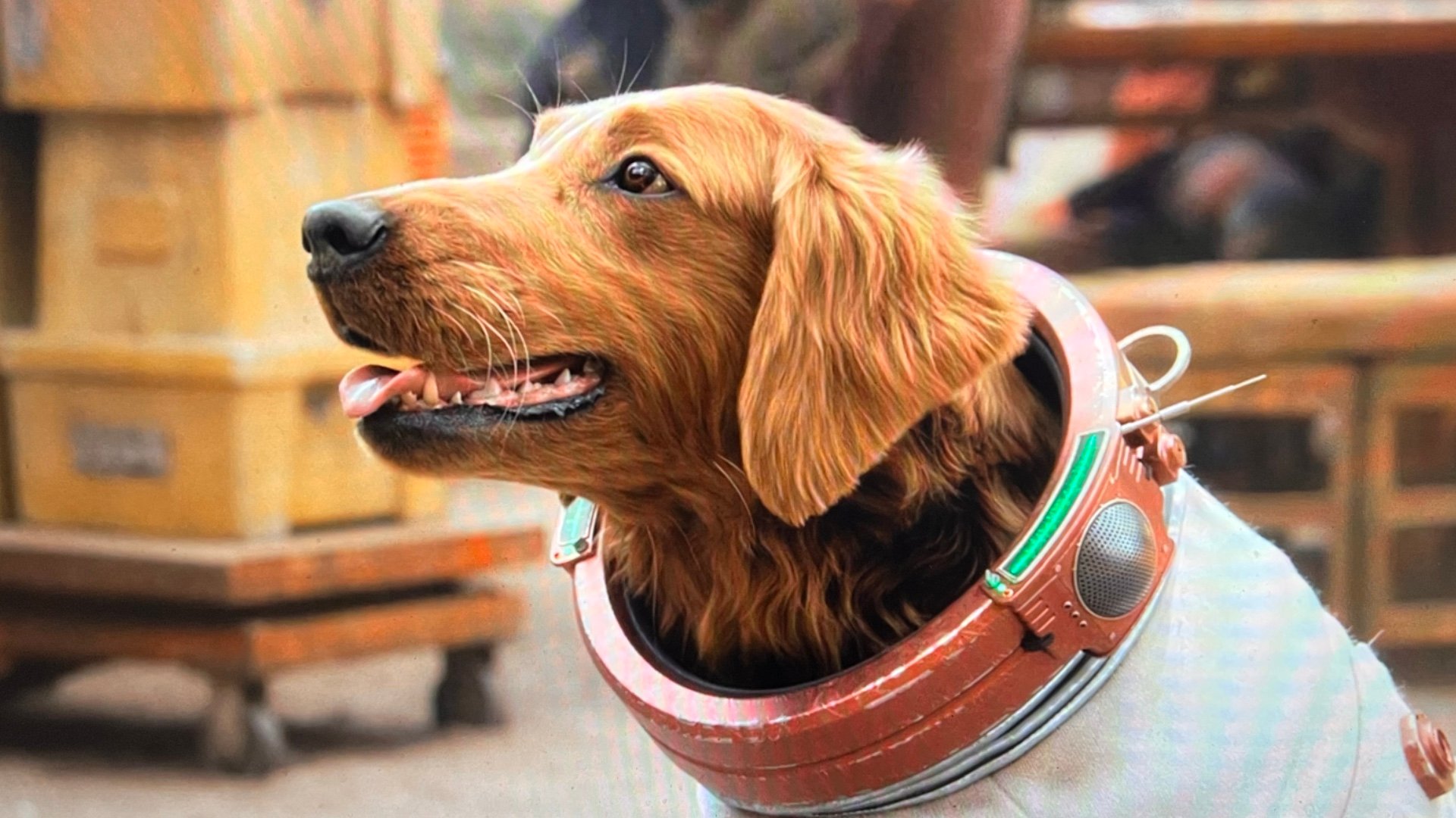 cosmo mcu marvel dog