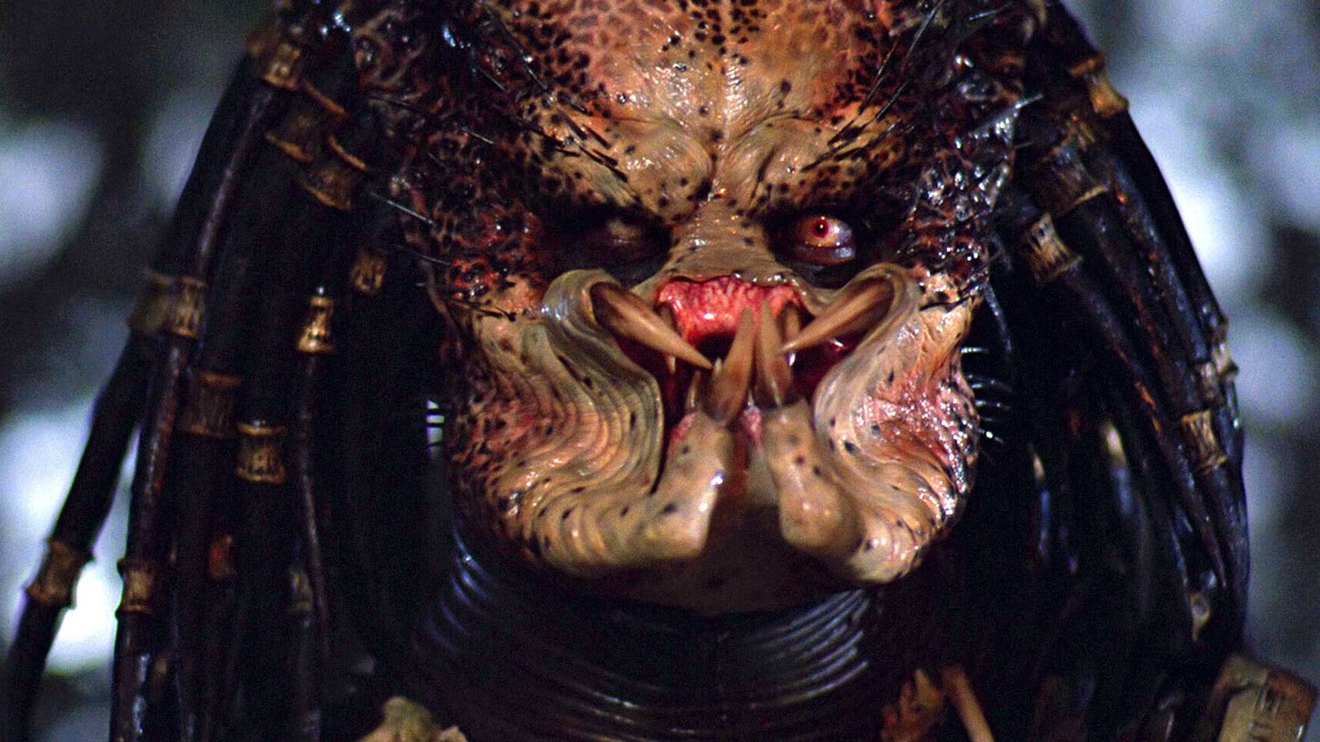 Kevin Peter Hall The Predator