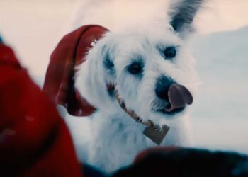 David-Corenswet-Krypto-Dog